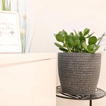 Apartment And Room Mare Apartment Zadar