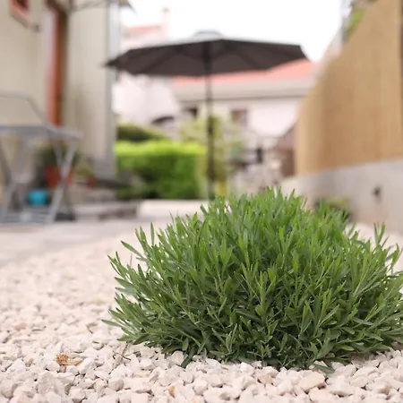 Apartment And Room Mare * Zadar